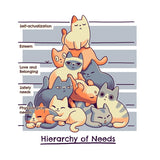 Hierarchy of Needs